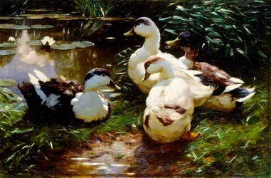 Ducks on a Riverbank