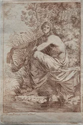 Musidora
