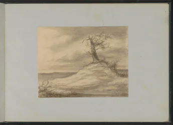 Tree on a Hill