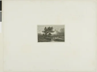 Alpine Landscape