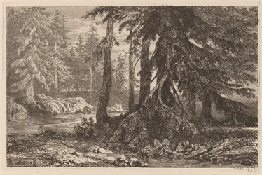 Essays on Etching by Alexandre Calame, III, pl. 16