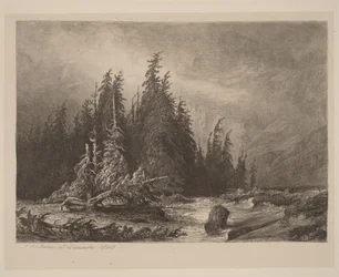 Mountain Pines