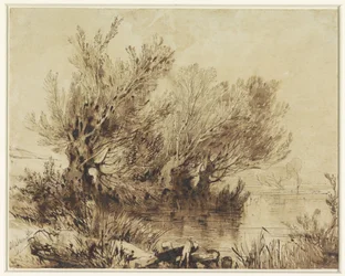 Willows by a Lake in Gently Rolling Terrain