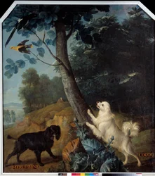 Merluzine and Cocoq, the Dogs of Louis XIV (1638-1715). Painting by Francois Desportes (1661-1743)