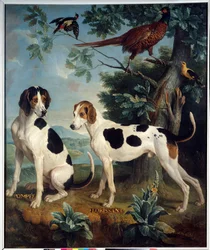 Pompee and Florissant, the Dogs of Louis XIV (1638-1715). Painting by Francois Desportes (1661-1743)