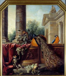 Still life with peacock, a parrot, a monkey and bunches of grapes. 18th century. 2.05 x 1.8 m, Lyon, Musée des Beaux-Arts