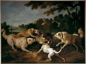 The Wolf Hunt