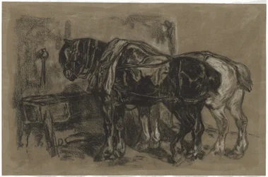 Two Draft Horses