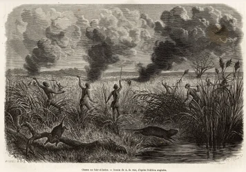 The bongo tribe hunt the rat from the reeds (for naturalists: aulacode), sitot spot the place where the rodents live, fire is set to dry grass around their cottage, until the beets, forced to flee, come to present themselves to the hunters, engraving after