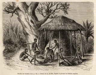 The Collection of the Ants