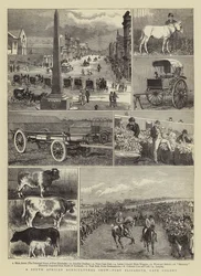 A South African Agricultural Show, Port Elizabeth, Cape Colony