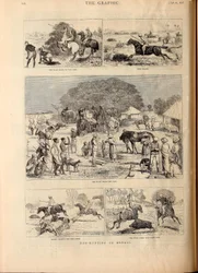 Hog-Hunting in Bengal