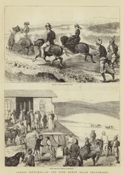 Indian Sketches, on the Peer Merde Hills, Travancore