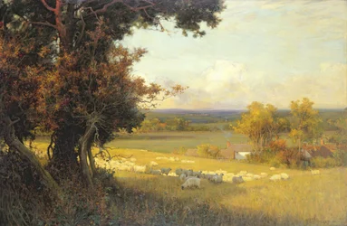 The Golden Valley