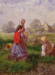 Picking Flowers