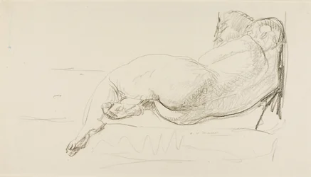 Reclining Nude