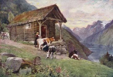 A Norwegian Fjord