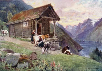 A Saeter, Vetle Fjord