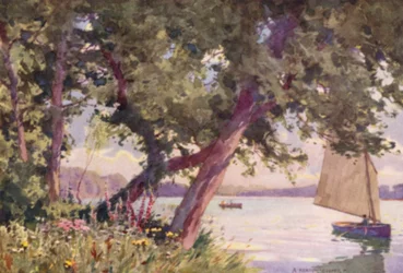 Fritton Lake, Suffolk, A Summer Morning