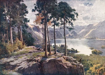 Lake District: Derwentwater, from Castle Head, a bright morning