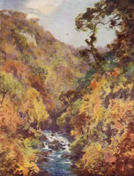 The Dargle, County Wicklow