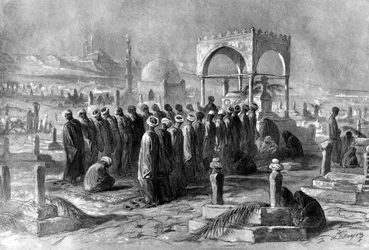 Muslims, Egypt