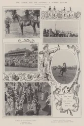 The Course and the Paddock, a Summer Fixture