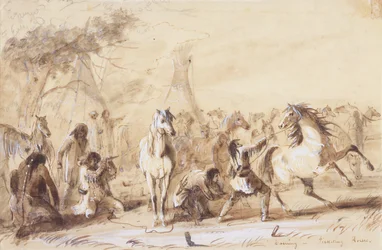 Evening, Picketing Horses