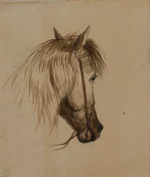 Head of a Horse
