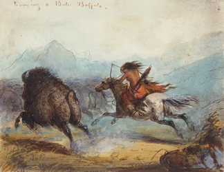Indian Female Running a Buffalo