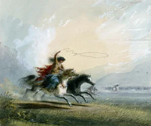 Shoshone Woman - Catching A Horse