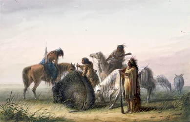Supplying Camp with Buffalo Meat