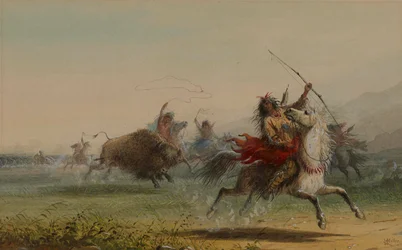 The Bravado