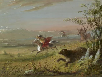 The Grizzly Bear