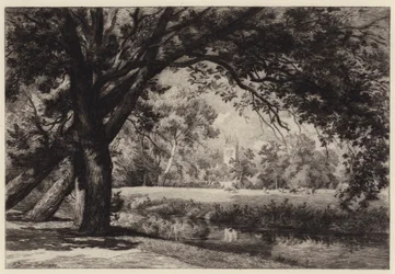 Magdalen Tower from Christ Church Meadows