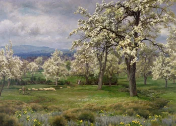 The Pear Orchard