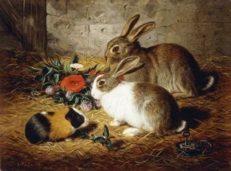 Escaped: Two Rabbits and Guinea Pig