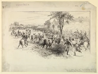 The Cattle Raid by the Confederate Cavalry