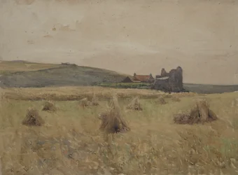 Wheatfield