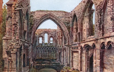 Abbey Ruins, Glastonbury