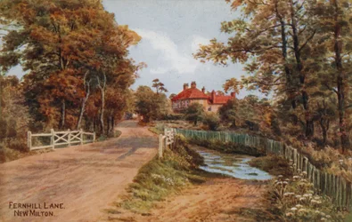 Fernhill Lane, New Milton