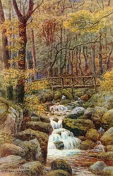 The Fairy Glen, Nr Penmaenmawr