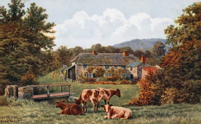 The Old Mill, Lyme Regis