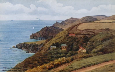 Woody Bay, from Martinhoe Common