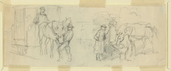 Feeding and resting horses