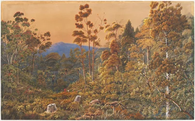 A Golden Eve, Waiheke Island