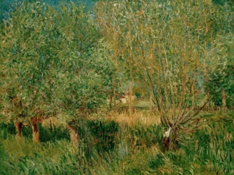 Willows on the Bank of the Orvanne