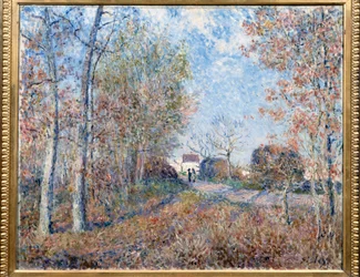 A corner of wood with Sablons or the road to the forest edge of Fontainebleau