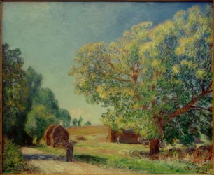 Around the Forest