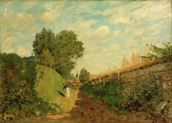 The Garden